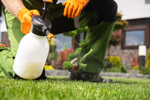 Best Residential Pest Control  in Cotati, CA