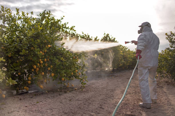 Best Best Pest Control Companies  in Cotati, CA