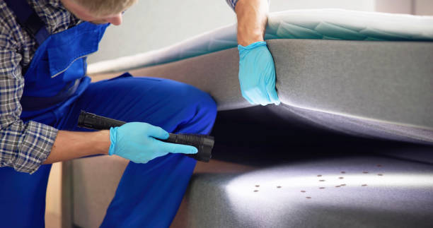 Best Flea Control Services  in Cotati, CA