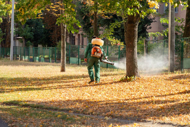 Professional Pest Control in Cotati, CA